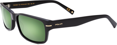 Очки Polar model Gold 170 col. 77/G