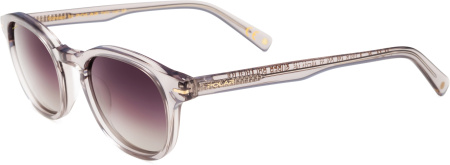 Очки Polar model Gold 123 col. 27