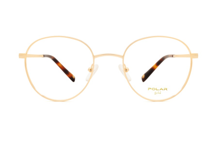 Оправа Polar model Gold 2004 col, 02