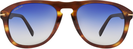 Очки Polar model Gold 101 col. 429/Q