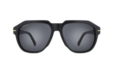 Солнцезащитные очки Polar model Gold 152 col. 77