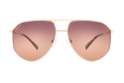 картинка Солнцезащитные очки Polar model Gold 309 col. 02/R — Мои Очки