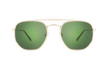 картинка Солнцезащитные очки Polar model Dakota 2 col. 02/G  — Мои Очки