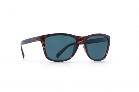 Oчки INVU s-T2713A