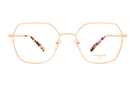 Оправа для очков Polar model Gold 2002 col, 08