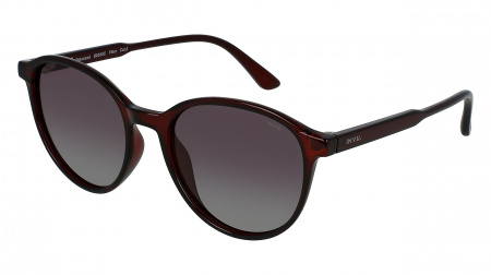 Oчки INVU s-B2030C