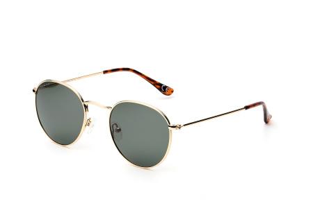 Очки Polar model Detroit col. 02/G