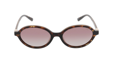 Солнцезащитные очки INVU IB22650B с чехлом 20201