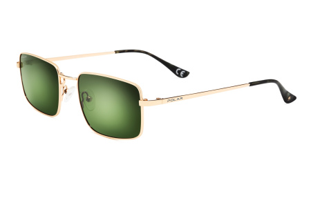 Oчки Polar model Dali col. 02