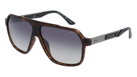 Солнцезащитные очки INVU IB22620C с чехлом 20201