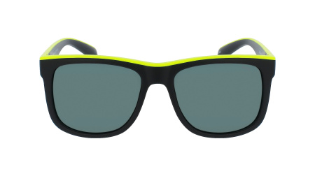 Очки INVU A2311B