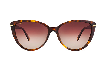 картинка Очки Polar model Gold Joya 01 col. 428  — Мои Очки
