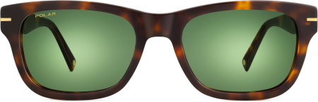 Солнцезащитные очки Polar model Gold 167 col. 428 PGOLD167428