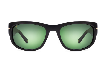 Солнцезащитные очки Polar mod Gold Kronos col. 77/G PGKRO77G