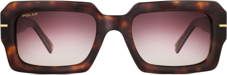Солнцезащитные очки Polar model Gold 168 col. 428 PGOLD168428