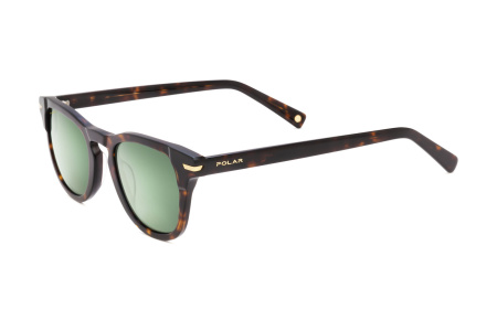 Солнцезащитные очки Polar  Gold Pegaso col. 428 Polarize PGPEG428