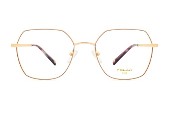 картинка Оправа для очков Polar model Gold 2002 col, 17 — Мои Очки