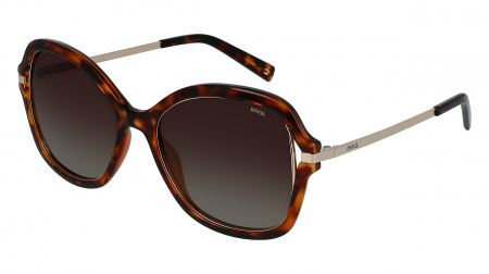 Oчки INVU s-B2008C