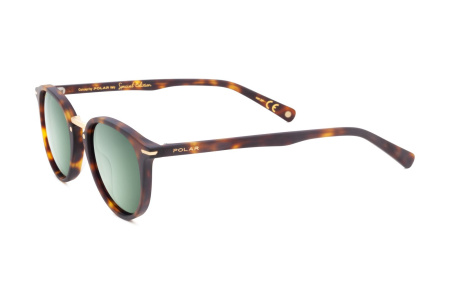 Солнцезащитные очки Polar model Gold Nico col. 428/G
