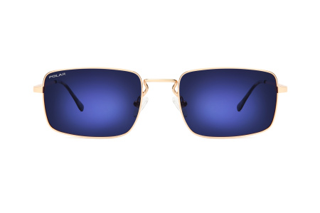 Oчки Polar model Dali col. 02/N