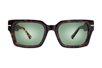 картинка Солнцезащитные очки Polar model Gold Milo col. 428/G — Мои Очки