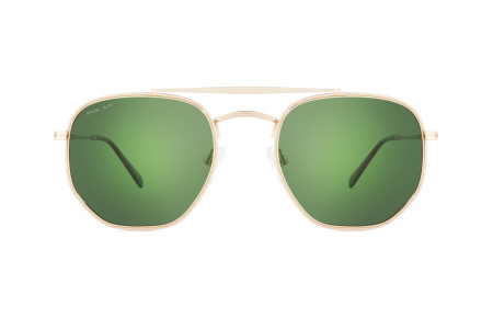 Солнцезащитные очки Polar model Dakota 2 col. 02/G  PDAK202G