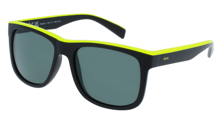 Очки INVU A2311B