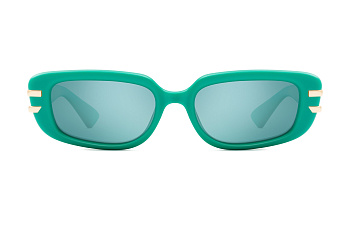 картинка Очки Polar model PLR Kate col. 29SM  — Мои Очки