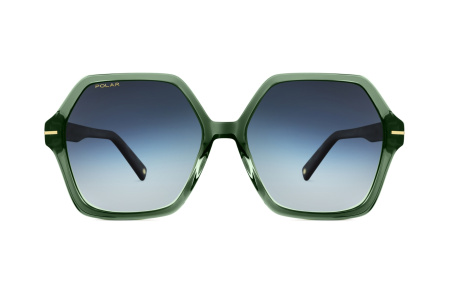 Oчки Polar model Gold 135 col. 29