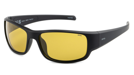 Солнцезащитные очки INVU A2209D Плавающая