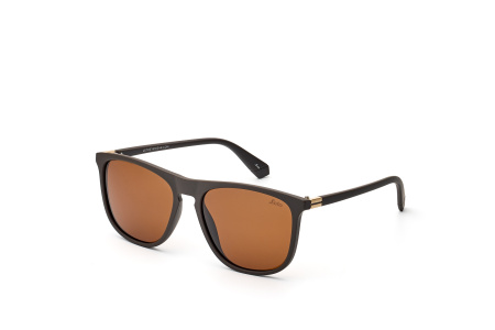 Очки LETO L2303D