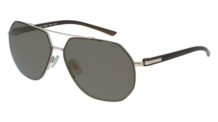 Oчки INVU s-P1003C