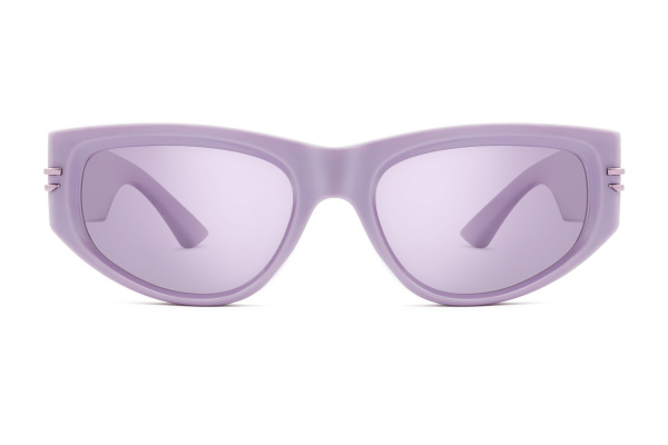 картинка Очки Polar model PLR Bansky col. 18  — Мои Очки