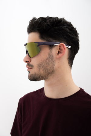 Солнцезащитные очки INVU IA22500D