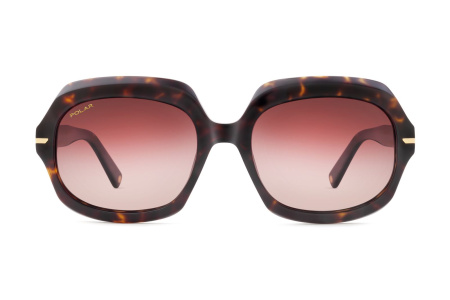 Солнцезащитные очки Polar model Gold Sirya col. 428