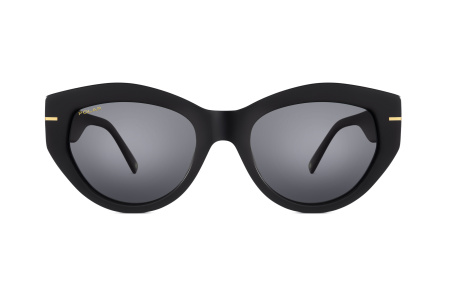 Oчки Polar model Gold 128 col. 77