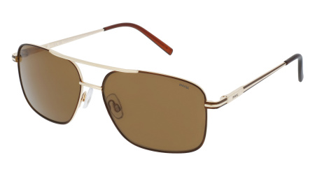 Oчки INVU s-B1203B