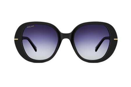 Oчки Polar model Gold 150 col. 77