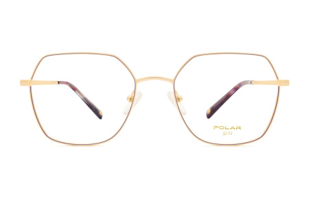 Оправа для очков Polar model Gold 2002 col, 17