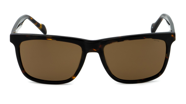 Солнцезащитные очки INVU P2902B