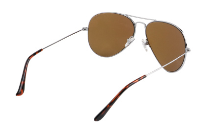 Солнцезащитные очки INVU P1300C с чехлом 20057