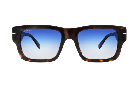 Солнцезащитные очки Polar model Gold 126 col. 428/Q PGOLD126428Q