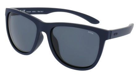 Oчки INVU s-A2800J