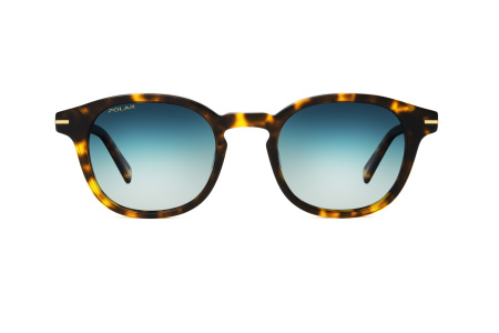 Очки Polar model Gold 123 col. 428