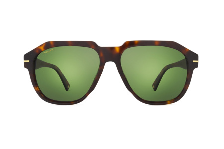 Очки Polar model Gold 152 col. 428