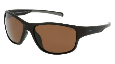 Oчки INVU s-A2208C