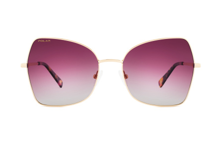 Oчки Polar model Gold 302 col. 08/R
