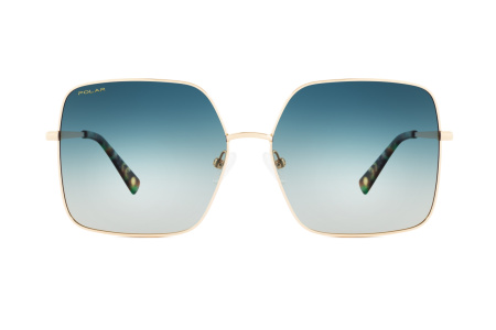 Oчки Polar model Gold 303 col. 02/V