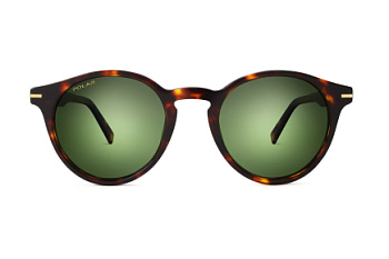 картинка Солнцезащитные очки Polar model Gold 111 col. 428 — Мои Очки