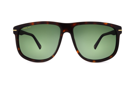 Солнцезащитные очки Polar model Gold 132 col. 428 PGOLD132428